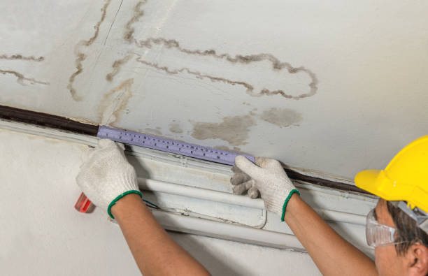Reliable Water Damage contractor in Moxahala, OH by Water Damage Irwin
